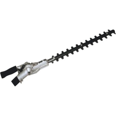 TAGLIASIEPI POLE